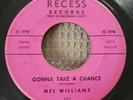 Mel Williams - Recess 101 - 