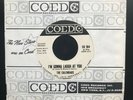 THE CALENDARS I'm Gonna Laugh At You RARE Doo Wop 45 COED Promo
