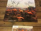 The Get Up Kids Problems Signed Autograph Vinyl Lp Record Baby Blue W/ Download