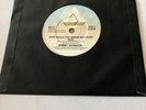 Bobby Womack - How Could You Break My Heart / Give It Up 7'' Vinyl RIS17 1987 EX