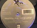 TARA / VISION /   12 “  WISE GUY RECORDS  ULTRA  RARE. FREESTYLE VG+++ NICE