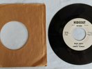 Sunday Funnies-Heavy Music (Bob Seger)/Path of Freedom-Hideout Records-DJ Promo
