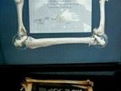 OZZY OSBOURNE See You On The Other Side Box & OZZY SIGNED COA + 10 POSTERS No LP