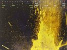 In Rainbows by Radiohead (Vinyl, Jan-2008, ATO (USA))