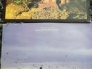 2 x Echo and The Bunnymen vinyl Albums . Heaven up here plus Crocodiles