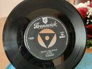 Brunswick Roy Hall Three Alley Cats Diggin' The Boogie. 45  05627 Tri Very Rare