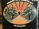 [SOUL/FUNK] NM LP The DRAMATICS Whatcha See Is Whatcha Get {2011 VOLT REISSUE]