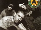 House of Pain LP Fine Malt Lyrics Jump Around Promotional