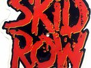 NEW / MINT SKID ROW 18 & LIFE Limited Edition VINYL Picture Disc EIGHTEEN AND