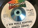 donald jenkins NEW WORLD BEAUTIFUL/FIGHTING FOR MY BABY sweet soul/northern soul