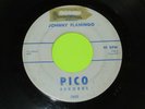 JOHNNY FLAMINGO SUMMERTIME / I 45 7