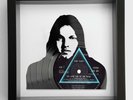 Dave Gilmour - Pink Floyd - Dark Side of the Moon - Vinyl Art 1973