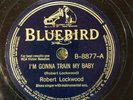 Bluebird 8877  ROBERT 