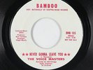 Crossover Soul 45 - Voice Masters - Never Gonna Leave You - Bamboo - mp3