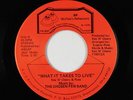 Modern Soul 45 - Chosen Few Band - What It Takes To Live - BR - VG++ mp3