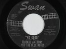 Northern Soul 45 - Richard Anthony & The Blue Notes - No Good - Swan - mp3