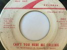 Northern Soul 45/ Bobby Wade 
