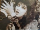 KATE BUSH Remastered In Vinyl 1   4 x 180 gram VINYL BOX SET  2018