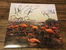 The Get Up Kids Problems Blue Lp Vinyl Record Signed Autograph Download Code