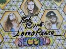 LYNYRD SKYNYRD LP SECOND HELPING 180 G BACK TO BLACK SIGNED BOB BURNS GARY ROSSI