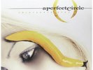 A Perfect Circle - Thirteenth Step - New Vinyl Record