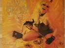 The Cramps - A Date with Elvis - Vinyl-LP, Psychobilly, Psychedelic Rock