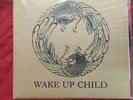 Wake up Child New lp record album Soil and the Sun NM/m Folk Rock