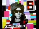 PRIMAL SCREAM LP  Chaosmosis   LIMITED PICTURE DISC VINYL LP & CD