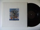 TALK TALK - SPIRIT OF EDEN - VINYL LP NL 1. PRESS 1988 DMM w/ I BELIEVE IN YOU