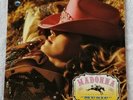Madonna Music 12