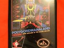 King Gizzard And The Lizard Wizard ?– Polygondwanaland 8-Bit NES Cartridge RARE