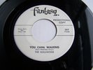 Monster Rare Garage Rock 45 **Golliwogs** Early Creedence Clearwater  NM PROMO