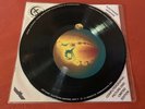 Software - Electronic Universe Part II RARE LTD VINYL PICTURE DISC VG CONDITION