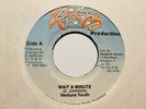 Venture Youth “Wait A Minute” and Sly & Robbie “Bitter Version” R & B Production