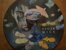 Marillion  - Sugar Mice. Orig. 12