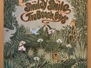The Beach Boys / Smiley Smile - RARE Vinyl LP Album UK MONO 1st press 1967 T9001