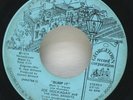 Joe Hockaday and the Soul Bandits Bump It Georgetown Record Co. 45 RPM