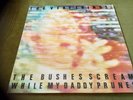 VERY THINGS-BUSHES SCREAM...LP(REFLEX)