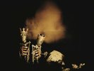 Pearl Jam ?– Riot Act [New & Sealed] 12