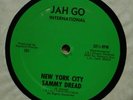 Rare Roots Reggae - NEW YORK CITY - SAMMY DREAD - VERNON BUCKLEY  JAH GO  listen