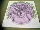 MERRELL FANKHAUSER & HMS BOUNTY-THINGS LP(TIME STOOD STILL)