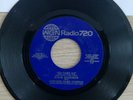CHICAGO CUBS STEVE GOODMAN GO CUBS - GO CHICAGO CUBS CHORUS 45RPM VINYL