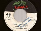 RARE Panama Soul Funk 45 THE MAGNIFICENT SEVEN Raise Your Hand TABOGA Hear mp3