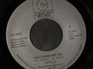 STYLE: Party Jam / You Turn Me On 45 (close to M-) rare Soul