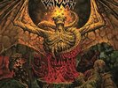 VADER-SOLITUDE IN MADNESS (MUSTARD VINYL) (COLV) (LTD) VINYL LP NEUF