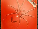 Spiders from Mars by The Original Spiders from Mars Vinyl, 1976, Music on Vinyl.