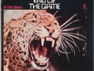 PETER GREEN: The End of the Game US Reprise ’70 Blues Rock Fleetwood Mac LP