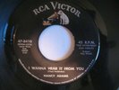 Nancy Adams ?– I Wanna Hear It From You / Lipstick Paint A Smile On Me 45 RCA 64