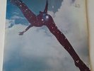 Free - Self Titled - Vinyl LP UK 1st Press 1A/1B VG+/EX+ Pink Label