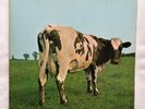 LP - PINK FLOYD:   